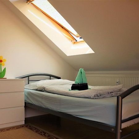 Zentral Gelegene Wohnung Nahe Schwanenteich Цвиккау Экстерьер фото