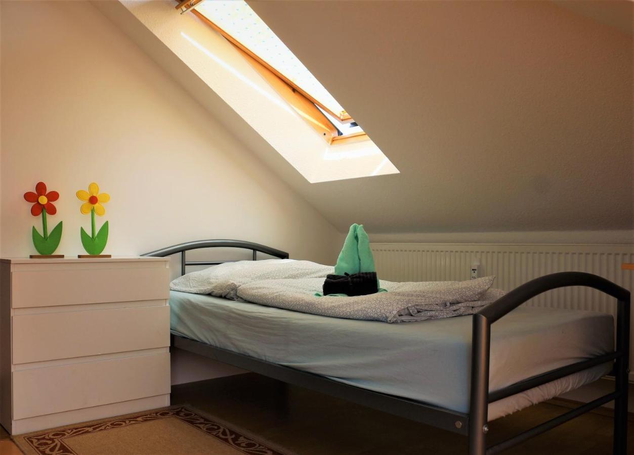 Zentral Gelegene Wohnung Nahe Schwanenteich Цвиккау Экстерьер фото