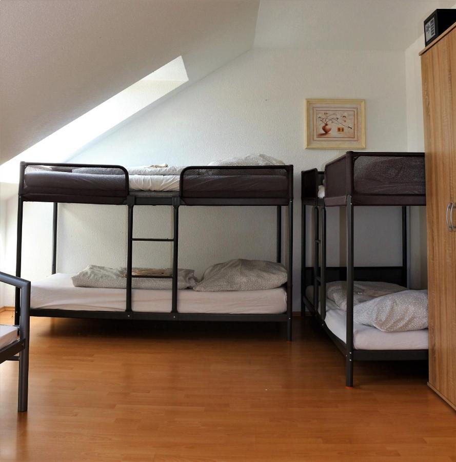 Zentral Gelegene Wohnung Nahe Schwanenteich Цвиккау Экстерьер фото