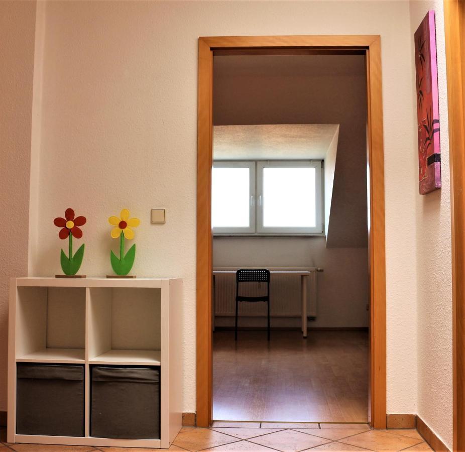 Zentral Gelegene Wohnung Nahe Schwanenteich Цвиккау Экстерьер фото